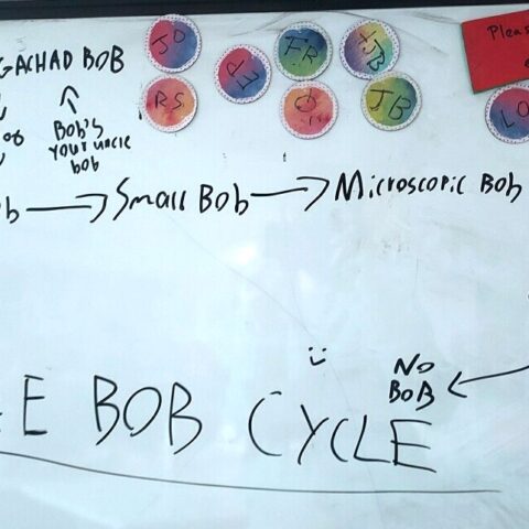 Big Bob
