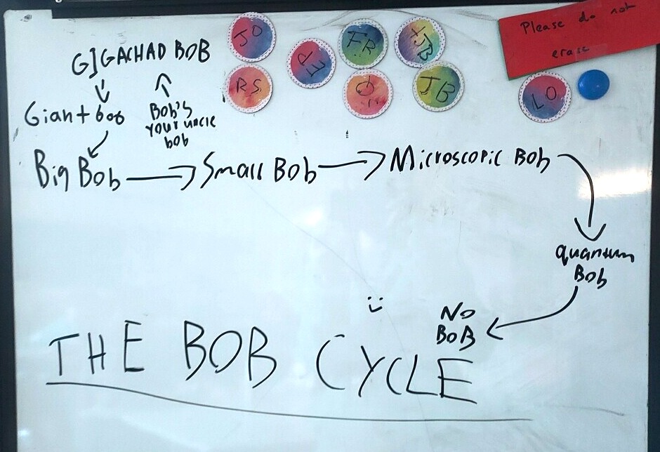 Diagram on a whiteboard illustrating the bob cycle